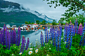 Isfjorden, More og Rommsdal, Norway