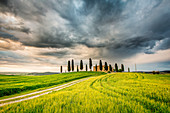 Val d'Orcia, Tuscany, Italy. A lonely farmhouse with cypress trees standing in line in foreground.