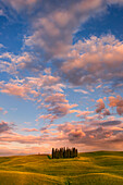 Italy, Tuscany, Siena District, Orcia Valley - cypresses at sunset