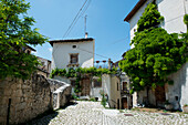 In the village of Fonteccio