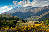 Landscape near the old mining town of St. Bathans, Otago, South Island, New Zealand