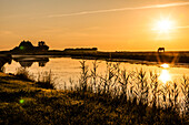 Die Kirchwarft während Sonnenaufgang und einem Pferd auf der Koppel, Hallig Hooge, Schleswig Holstein, Deutschland