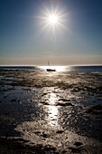 Ein Boot im Watt bei Ebbe während Sonnenaufgang, Hallig Hooge, Schleswig Holstein, Deutschland