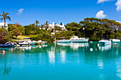 Blick auf private Motorboote in klarem blauem Wasser mit Villen und Palmen im Hintergrund, Tucker's Town, Insel Bermuda, Großbritannien