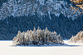 Baumbestandene Insel im zugefrorenen Eibsee, bei Grainau, Bayern, Deutschland