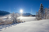 Halo (rainbow effect produced by frost mist in the air), winter landscape at Barmsee, view to Soiern range and Karwendel range, Bavaria, Germany