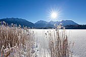 Winterlandschaft am Barmsee, Blick auf Soierngruppe und zum Karwendel, Bayern, Deutschland