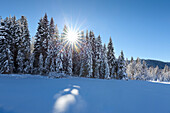 Winterlandschaft bei Gerold, Bayern, Deutschland