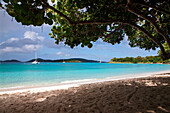 Tree provides shade on the tropical sandy beach of Caneel Bay, St. John, USVI, looking out at anchored sailboats.