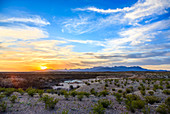 Chisos Mountains and desert landscape at sunset in Big Bend National Park, Texas, United States