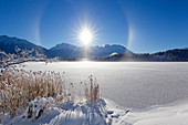 Halo (durch Eiskristalle in der Luft hervorgerufener Regenbogeneffekt), Winterlandschaft am Barmsee, Blick auf Soierngruppe und zum Karwendel, Bayern, Deutschland