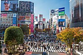 Japan , Tokyo City,Shibuya District, Hachiko Crossing.