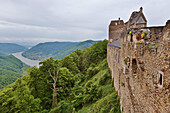 View from Aggstein castle at the Danube, Wachau , Niederösterreich , Lower Austria , Austria , Europe