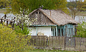 Traditionelles Haus im Donaudelta bei Ilganii und Partizani , ca. 60 km entfernt von der Mündung des Sulinaarms ins Schwarze Meer , Rumänien , Donau , Europa