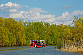 Biosphere reserve Danube Delta at Tulcea , Tulcea branch of the Danube , Romania , Europe