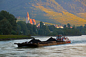 Fortified church Maria Himmelfahrt at Weißenkirchen in the Wachau  on the river Danube , Sunrise , Niederösterreich , Lower Austria , Austria , Europe