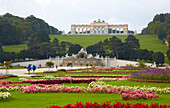 Park of Schönbrunn Castle with well Neptunbrunnen and Gloriette at Vienna on the river Danube , Austria , Europe