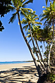 Australia, Queensland, palm fringed Mission Beach, Cassowary Coast Region, Coral Sea.