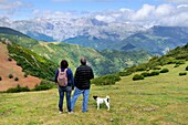 View of the Picos de Europa from Collado de Llesba near the Puerto de San Glorio pass. Cantabria. Spain.