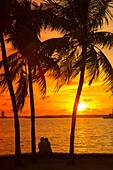 Palm Trees Couple Sitting Miami Beach Port Of Miami Skyline Biscayne Bay Miami Florida Usa.