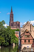 Cathedral and La Petite France houses Strasbourg Alsace France.