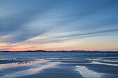 USA, Massachusetts, Cape Ann, Gloucester, Annisquam beach, dusk.