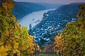 Germany, Rheinland-Pfalz, Oberwesel, elevated town view from vineyards, autumn, dusk.