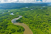 Aerial view of Delta Sierpe River Terraba, Corcovado National Park, Osa Peninsula, Puntarenas Province, Costa Rica, Central America, America.