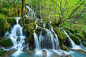 TOBERIA FALLS, ANDOIN, SIERRA ENTZIA NATURAL PARK, ALAVA, BASQUE COUNTRY, SPAIN, EUROPE.