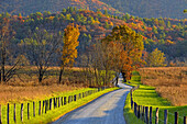 Autumn colour in Cades Cove- Hyatt Lane, Great Smoky Mountains NP, Tennessee, USA.