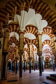 sala de oracion, Mezquita-catedral de Córdoba, Andalucia, Spain.