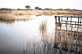 Tablas de Daimiel, Castile-La Mancha, Spain.