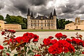 Chateau Pichon Longueville winery, Medoc vineyards, Bordeaux, Gironde, Aquitaine, France, Europe