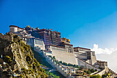 The Potala Palace (a UNESCO World Heritage Site) was the chief residence of the Dalai Lama until the 14th Dalai Lama fled to Dharamsala, India, during the 1959 Tibetan uprising. The massive palace contains 999 rooms. Lhasa, Tibet, China.