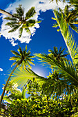 Haapiti Motu (a small private island) off Bora Bora, Society Islands, French Polynesia.