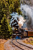 The Cumbres & Toltec Scenic Railroad train pulled by a steam locomotive on the 64 mile run between Antonito, Colorado and Chama, New Mexico. The railroad is the highest and longest narrow gauge steam railroad in the United States with a track length of 64
