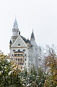 Famous Neuschwanstein Castle (New Swanstone Castle) in winter, Hohenschwangau, Bavaria, Germany, Europe