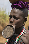 Mursi woman with lip plate in the Lower Omo Valley of Ethiopia. The Mursi girls have a fold cut in their lower lip as they enter womanhood, where a pulley is inserted, which then stretches the lip until larger plates can be put in.