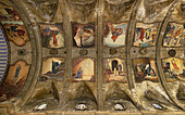 The church ceiling Senyora Roser Vell, Pollenca, Majorca