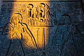 Sunk relief lit by a late beam of sun light in Luxor Temple, Egypt.