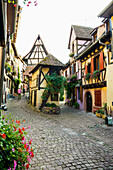 alley with colorful half-timbered houses and flowers, Eguisheim, Alsace, France