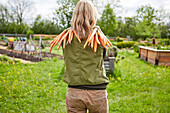 Frau im Garten hält Karotten hoch