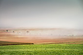 Nebel zieht über die kargen Felder der Albhochfläche an einem Herbstmorgen, Holzkohle Herstellung Köhlerei, Aalen, Härtsfeld, Ostalbkreis, Baden-Württemberg, Deutschland