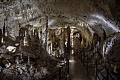 gewaltige Tropfsteine – Stalagtiten und Stalagmiten – in den Höhlen von Postojna, Slowenien, Europa