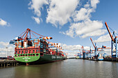 Containerschiffe am Burchardkai im Hamburger Hafen, Hamburg, Norddeutschland, Germany