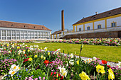 Blumenbeet, Schloss Hof, Marchfeld, Niederösterreich, Österreich