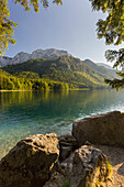 Feslen am Ufer, Vorderer Langbathsee, Höllengebirge, Salzkammergut, Oberösterreich, Österreich