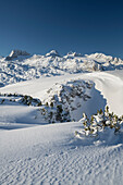 Dachstein vom Krippenstein, Oberösterreich, Österreich