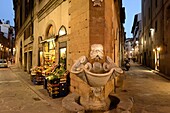 Florence. Italy. Fontana del Buontalenti between via dello Sprone and Borgo San Jacopo in the Oltrarno quarter.