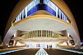 Palace of Arts ´Reina Sofia´, City of Arts and Sciences. Valencia, Spain.